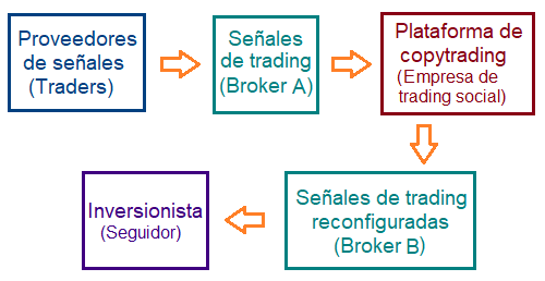 Proceso de copy trading